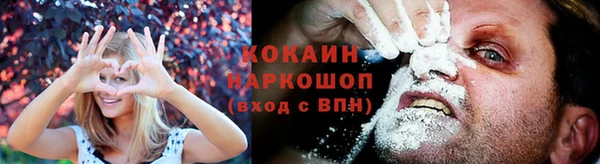 спиды Краснослободск