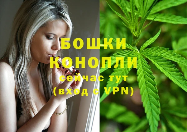 спиды Краснослободск