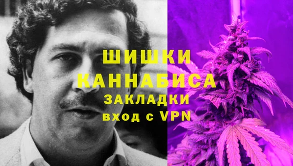 спиды Краснослободск